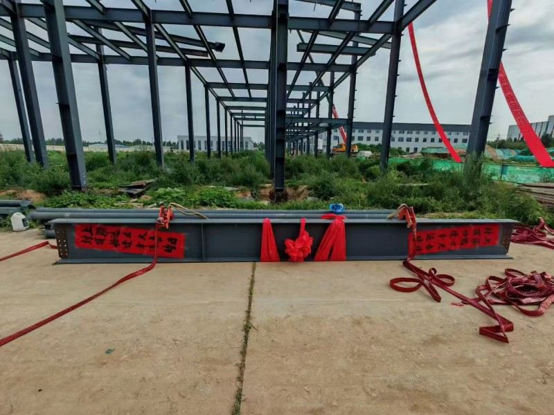 La struttura della struttura in acciaio Yongcheng Xingye ha accelerato la costruzione di Hebei Bosheng Food Workshop