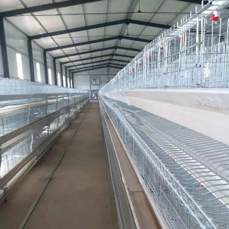 Steel Structure Livestock And Poultry Houses